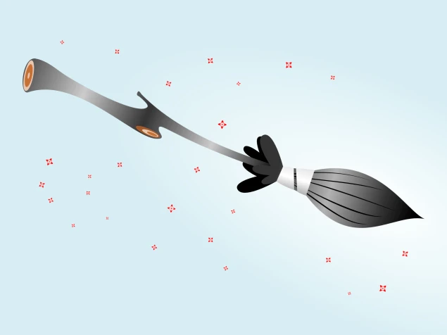Racing broom