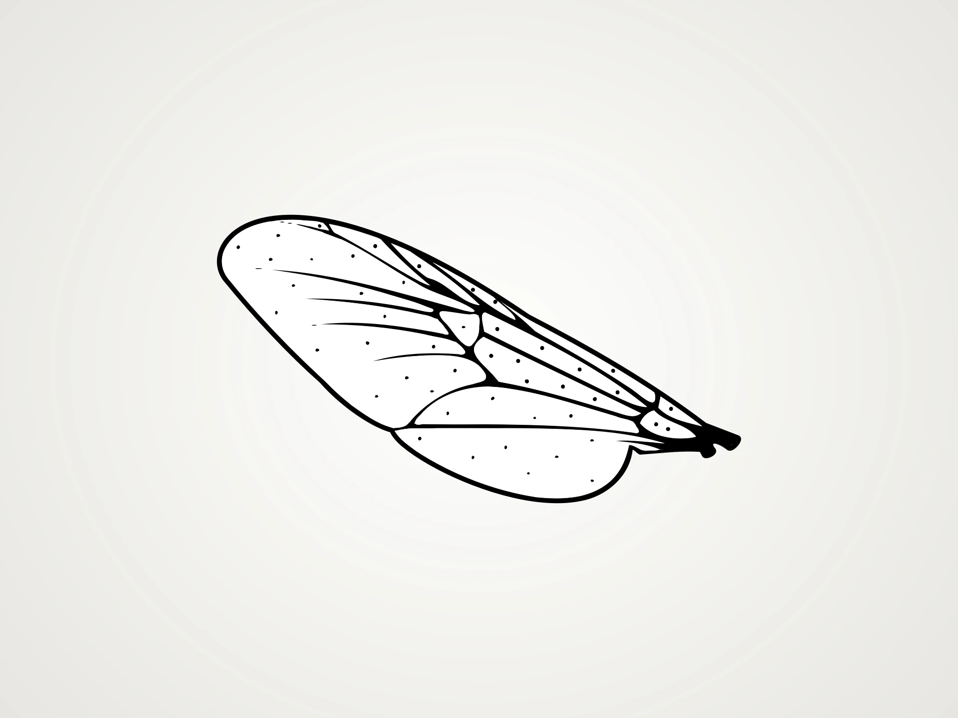 Ales de mosca